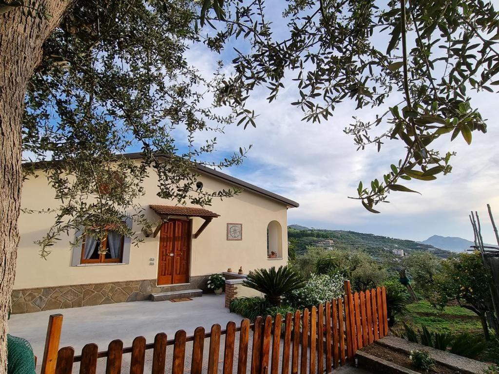 Maison Emilie Massa Lubrense Exteriér fotografie